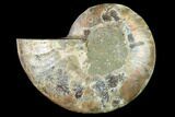 Cut & Polished Ammonite Fossil (Half) - Madagascar #166801-1